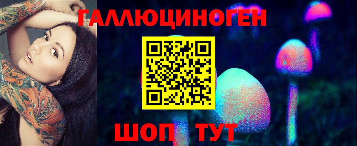 Псилоцибиновые грибы Psilocybe Чусовой